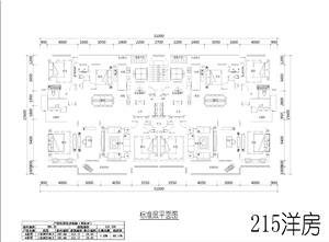 戶型-新規(guī)215洋房