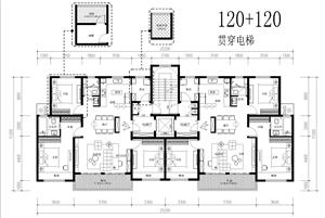 戶型-貫通梯 三跑 雙電梯洋房戶型-貫穿電梯120+120