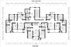 戶型-某大型開(kāi)發(fā)商_標(biāo)準(zhǔn)化戶型更新匯總125A+115A+125A