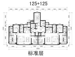 戶型-中海在北方的某網(wǎng)紅戶型，開(kāi)盤(pán)售罄，市場(chǎng)反映極好， 125戶型